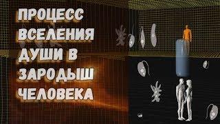 Процесс вселения души в зародыш человека