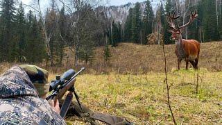 HUNTING FOR MARAL AND SIBERIAN ROE DEER IN THE ALTAI MOUNTAINS.