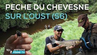 Pêche du chevesne sur l'Oust (56)