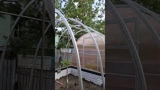 Теплица #наша дача #продолжение