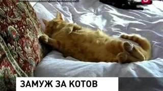 Замуж за котов