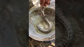 The CRISPIEST Fish You'll Ever Eat! 