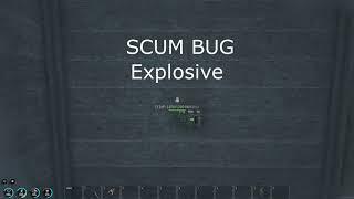 SCUM BUG 2 Explosive