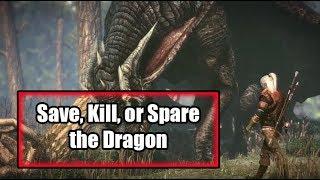 All Dragon Boss Fight Outcomes (Kill, Spare, and Save) - The Witcher 2