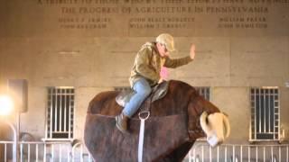 Mechanical Bull Riding