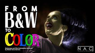 FROM BLACK & WHITE TO COLOR | Rotoscopy and Film Colorization Showreel