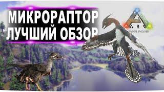 Микрораптор (Microraptor) в АРК. Лучший обзор: приручение, разведение и способности в ark