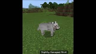 Naming a wolf dinnerbone!!!#shorts #minecraft #gaming