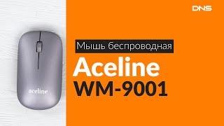 Распаковка мыши Aceline WM-9001 / Unboxing Aceline WM-9001