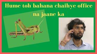 Hume Toh Bas Bahana Chaihye Office Na Jaane Ka|| Locust attack ||Shoclips