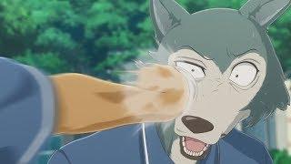 [YTP] BEASTARS Legosi x Louis Fight Yiff
