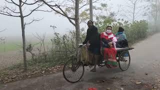 শীতের সকালের ধানসিঁড়ির পাড়ের চিত্র || আবার আসিব ফিরে এই ধানসিঁড়িটির তীরে-এই বাংলায়