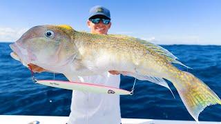 How to Slow Pitch Jig! (Tactics & Gear)