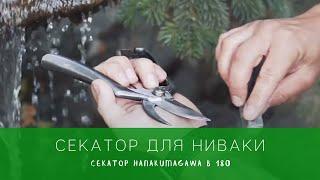 СЕКАТОР для работы с НИВАКИ HANAKUMAGAWA