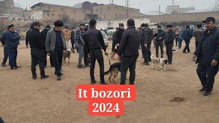 Namangan It bozori 2024.10.03