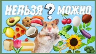 Чем Кормить Хомяка?  || Питание Хомяков  || Как Ухаживать за Хомяком ️