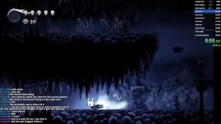 Hollow Knight any% 39:07