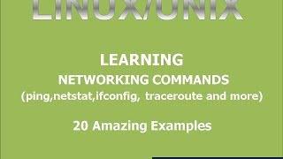 Linux Basic Networking Commands