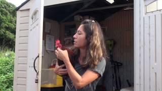 Rescuing Lucky the Pig and the Triplets