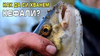 Как да си хванем кефали / How to catch chubs