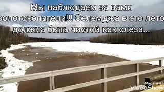 03.05.2020 г. Селемджа вскрылась грязной! Будь оно проклято это золото!