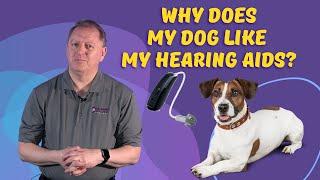 Hearing Aid Maintenance | Hearing Aid Insurance for Loss or Damage | Hearing Health