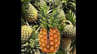 PINEAPPLE /ASMR/VIRAL /FRUIT SATISFYING/TRENDING /SHORTS / YOUTUBE SHORTS/ETHEL ALLERA