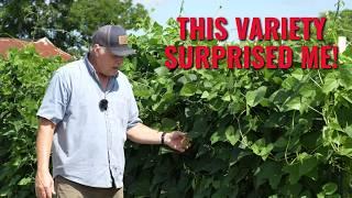 June Garden Tour | What We Learned