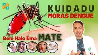 La Kuidadu didiak, “DENGUE” bele halo ema MATE…!!! | dr. Frenky de Jesus