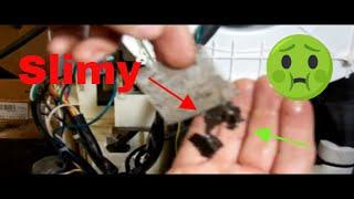 2 Big Reasons Your Hisense dehumidifier Won't Pump Water Fix it Fast