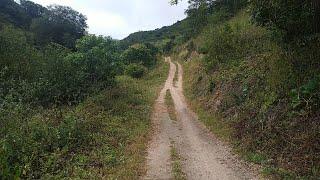 NATUREZA SALOÁ PE