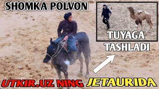 SHOMKA POLVON TUYAGA TASHLADI UTKIR UZ NING "JETOUR" NOMLI OTIDA