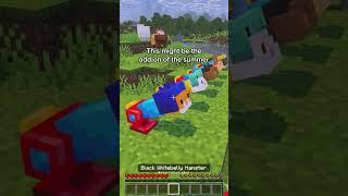 This with Vibrant Visuals #minecraft #bedrock #addon #hamsters