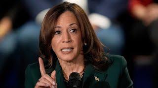 Leftist news outlets spark ‘mass tantrum’ after refusing to formally endorse Kamala Harris