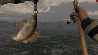 Fishing Planet! v2.1.4 Нидерланды! Канал Гент-Тернёзен! Судак на донку!