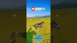 ЭКСКЛЮЗИВ 26. БЫСТРЫЙ СКАКУН #horse #кони #асау #лошади #ат #шабандоз #жылкы