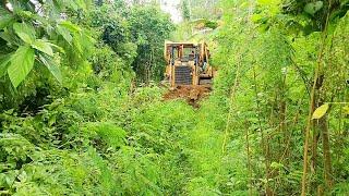 Professional Service D6R XL Bulldozer Makes Forest Roads Smoother