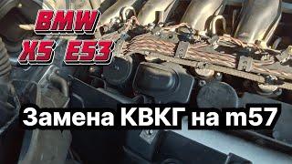 Как заменить КВКГ на  двигателе m57(n) от BMW | BMW X5 e53