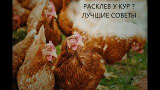 Расклев у кур? Попробую помочь