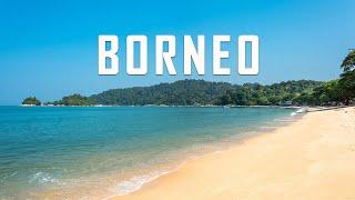 Borneo Malaysia: 8 Best Things To Do In Borneo Malaysia