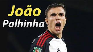 João Palhinha ● Best Tackles, Passes & Goals 