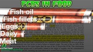 Food sources of PCB chemical pollutants