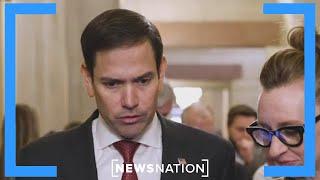 Trump eyes Sen. Marco Rubio for secretary of state | Morning in America