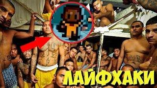 Лайфхаки и баги в The Escapists