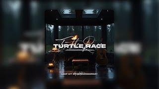 (FREE 35+) Rod Wave Loop Kit + Midi Kit - Turtle Race (NBA YoungBoy, Toosii, Lil Durk, etc.)