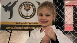 Shotokan Karate Academy Lehi