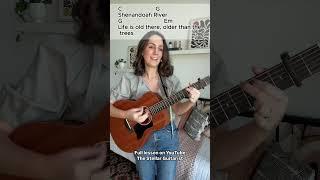 This is for the Denver fans out there  what a hit! #guitarlesson #guitar #thestellarguitarist