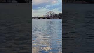 Calm City Transport #hamburg #alster #beautiful #train #cars #water