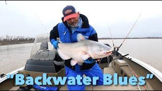 "Backwater Blues" Catfish Action