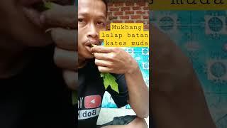 mukbang lalapan batang dan daun kates muda#mukbang #lalapanmentah